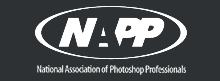 logo-napp
